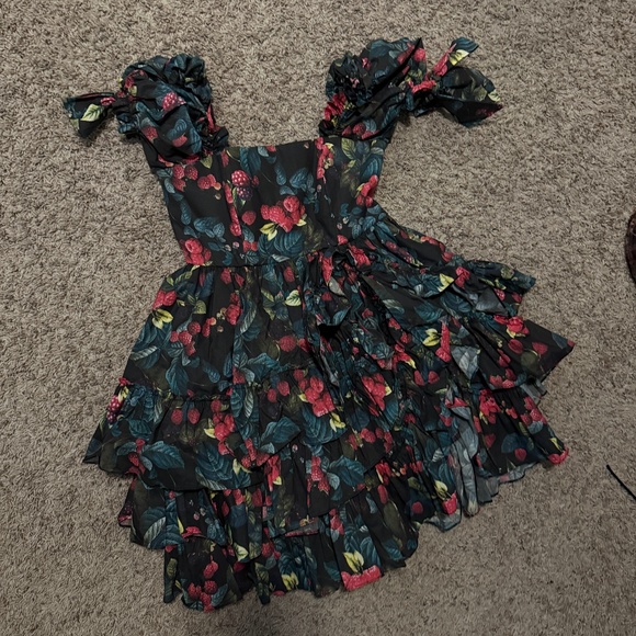 Fanciful Doll Raspberry Mini Liaisons Dress - Picture 2 of 5